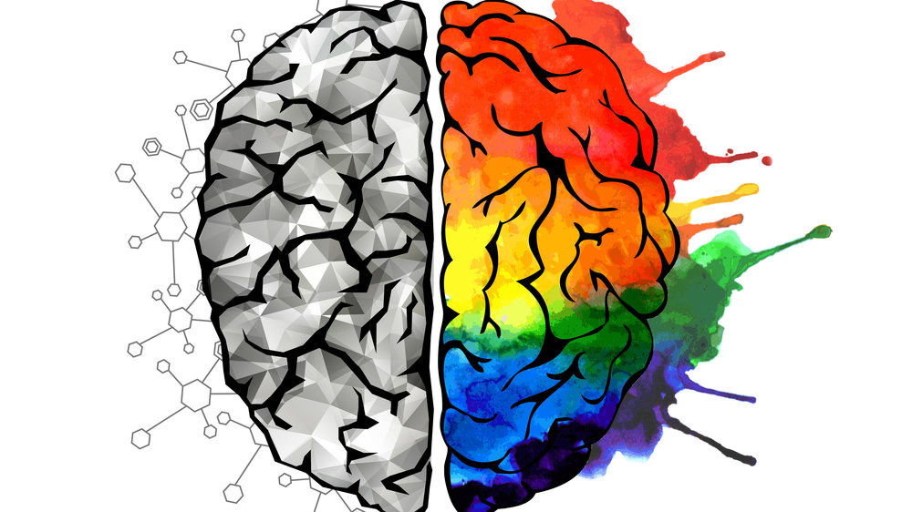Image result for colourful brain