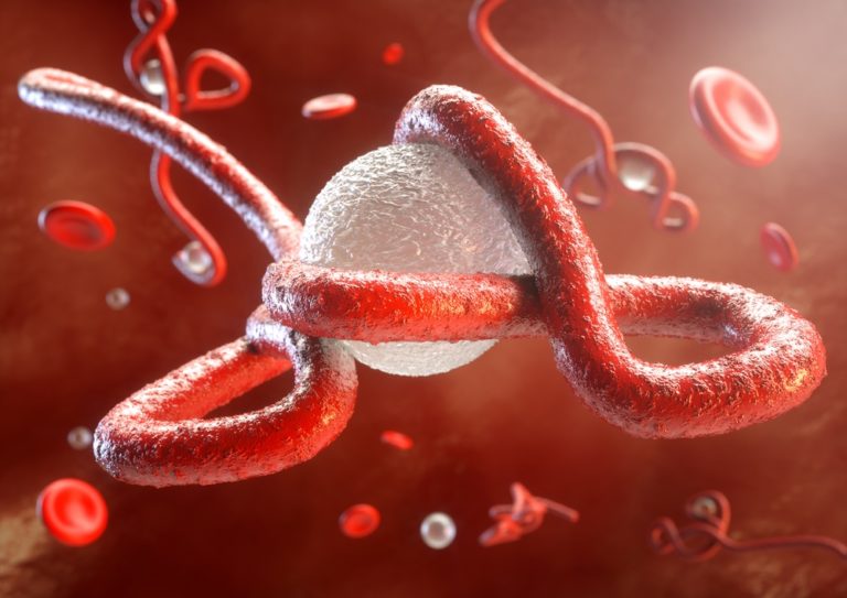 Study Shows Early Promise for Ebola Vaccine