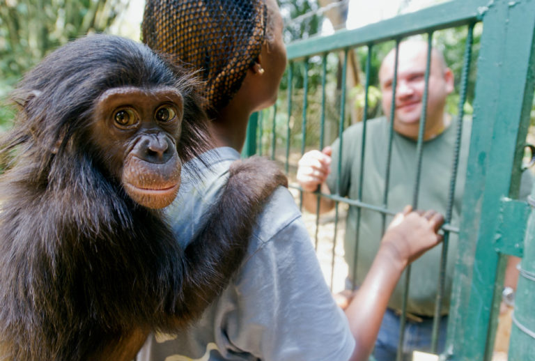 Monkeys Have the Vocal Cords to Talk, Lack the Brain Power