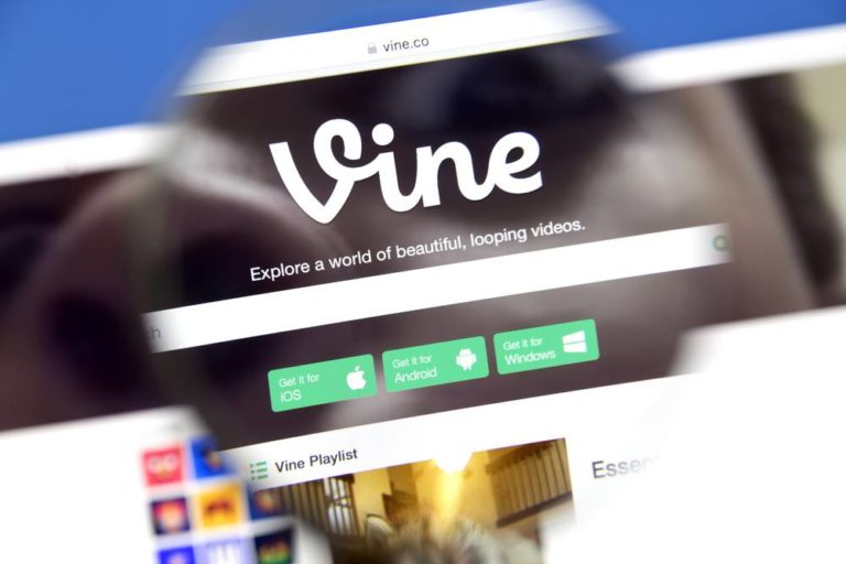 Major Vine Update Coming Soon, Meet “Vine Camera”