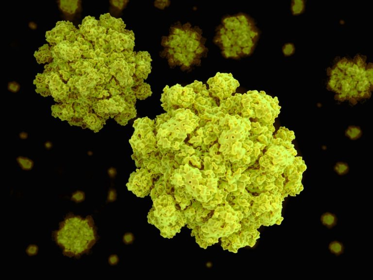 Chicago High School Shuts Down After Norovirus Outbreak