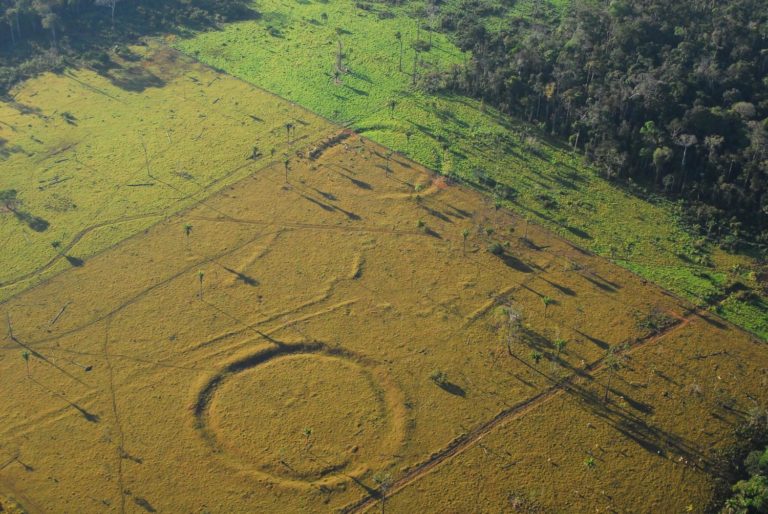 Researchers Discover 450 Ancient Earthworks Similar to ‘Stonehenge’ in Amazon Rainforest