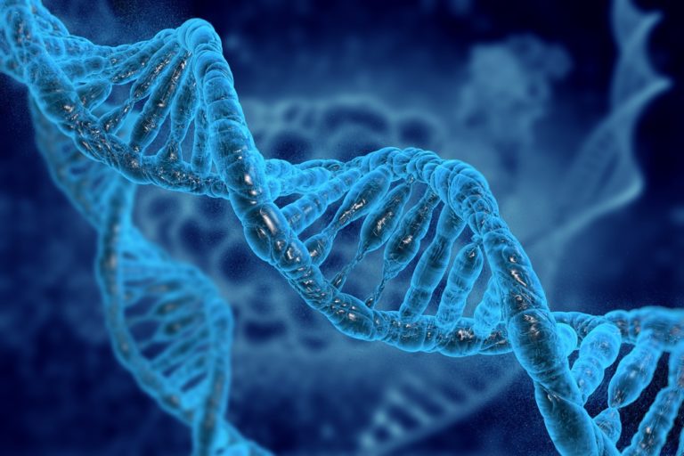 Human Gene Editing Gains New Support from Scientists