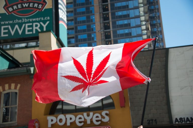 Canadian Government Plans to Legalize Marijuana by July 2018