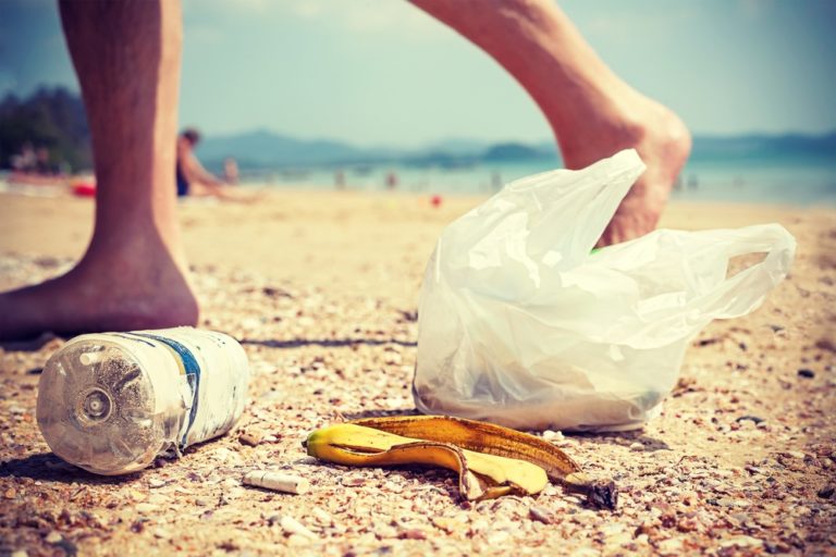 Researchers Discover a Caterpillar that Can Eat Plastic