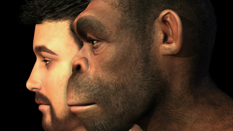 First Humans Came from Europe and Not Africa, Study Finds