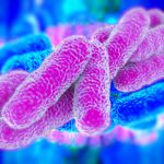 Legionnaires’ Disease Bacteria