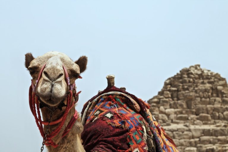 Scientists Have Discovered A Mysterious Space In Egypt’s Great Pyramid