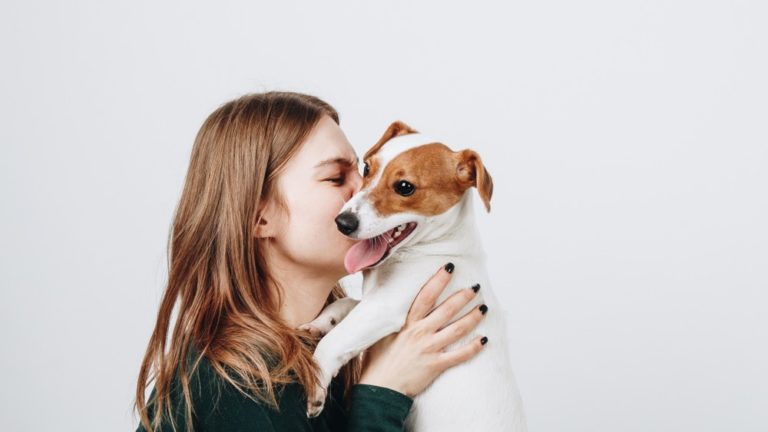 Pet Store Puppies Could Be Making You Sick (Report)
