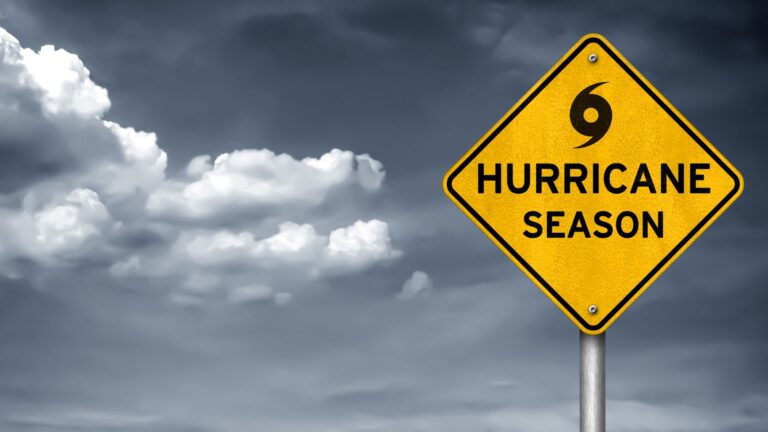 FEMA Employee Ejected for Discriminatory Conduct Post-Hurricane Milton