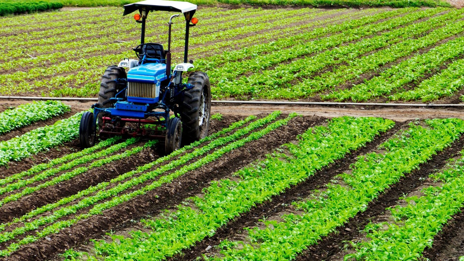 Agriculture