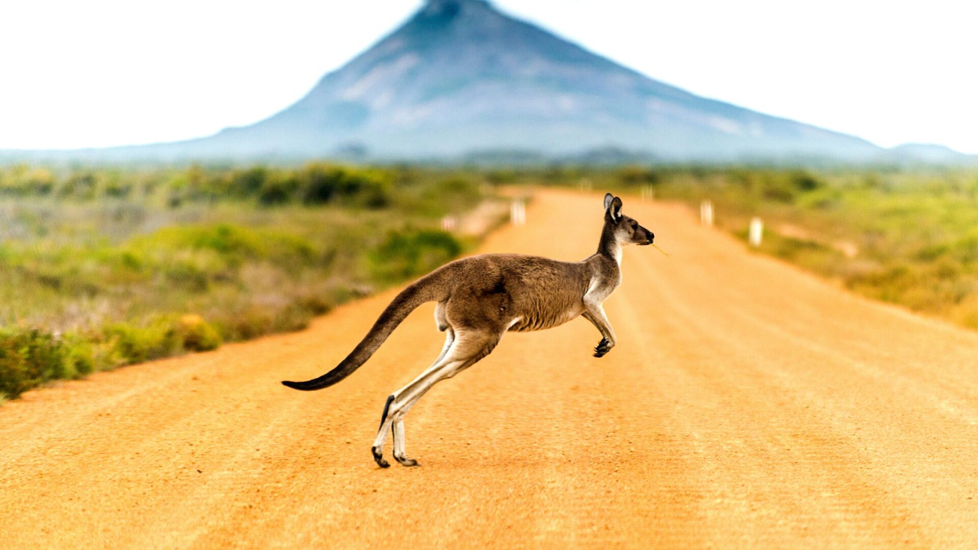 Australia Economy Business