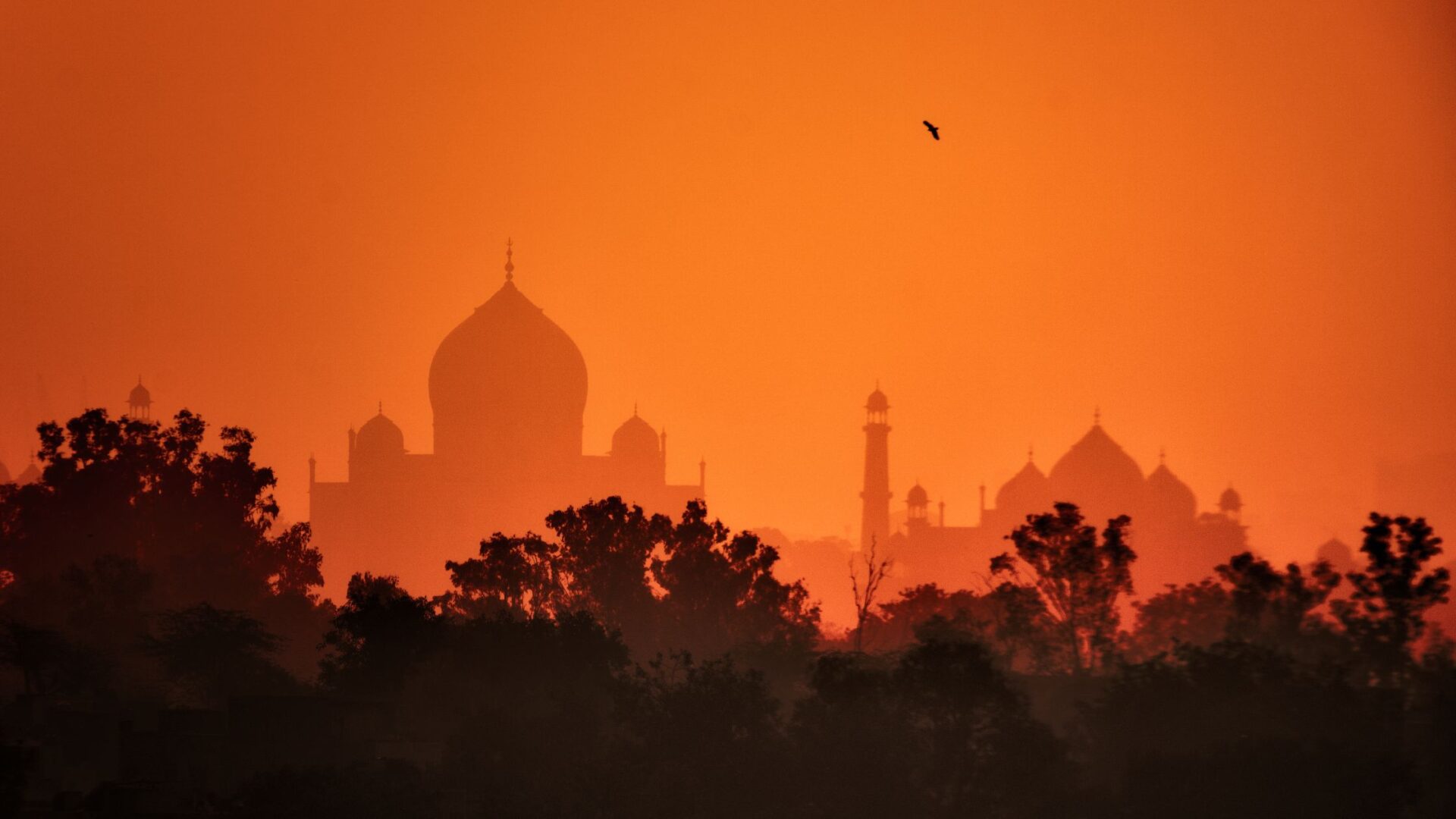 India Stock Market