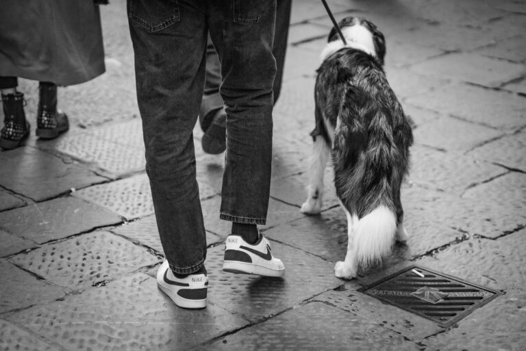 Exciting News for Tintin Fans: Peter Jackson Busy With ‘Adventures of Tintin 2’