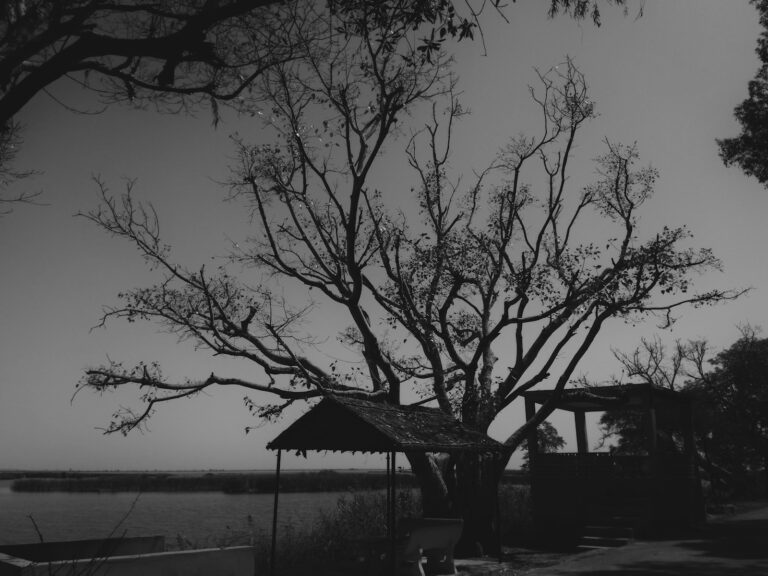 Chilling Developments in the New Friday the 13th Project: Crystal Lake