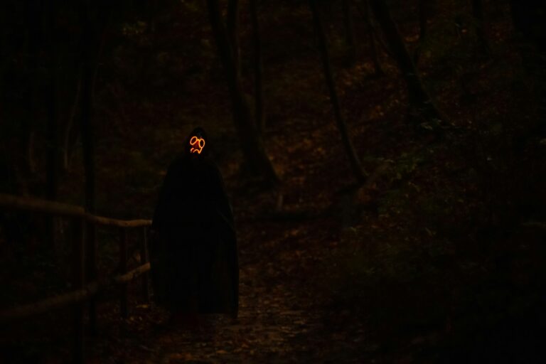 The Engrossing Tale Behind ‘The Entity’ Movie, Truth or Fiction?