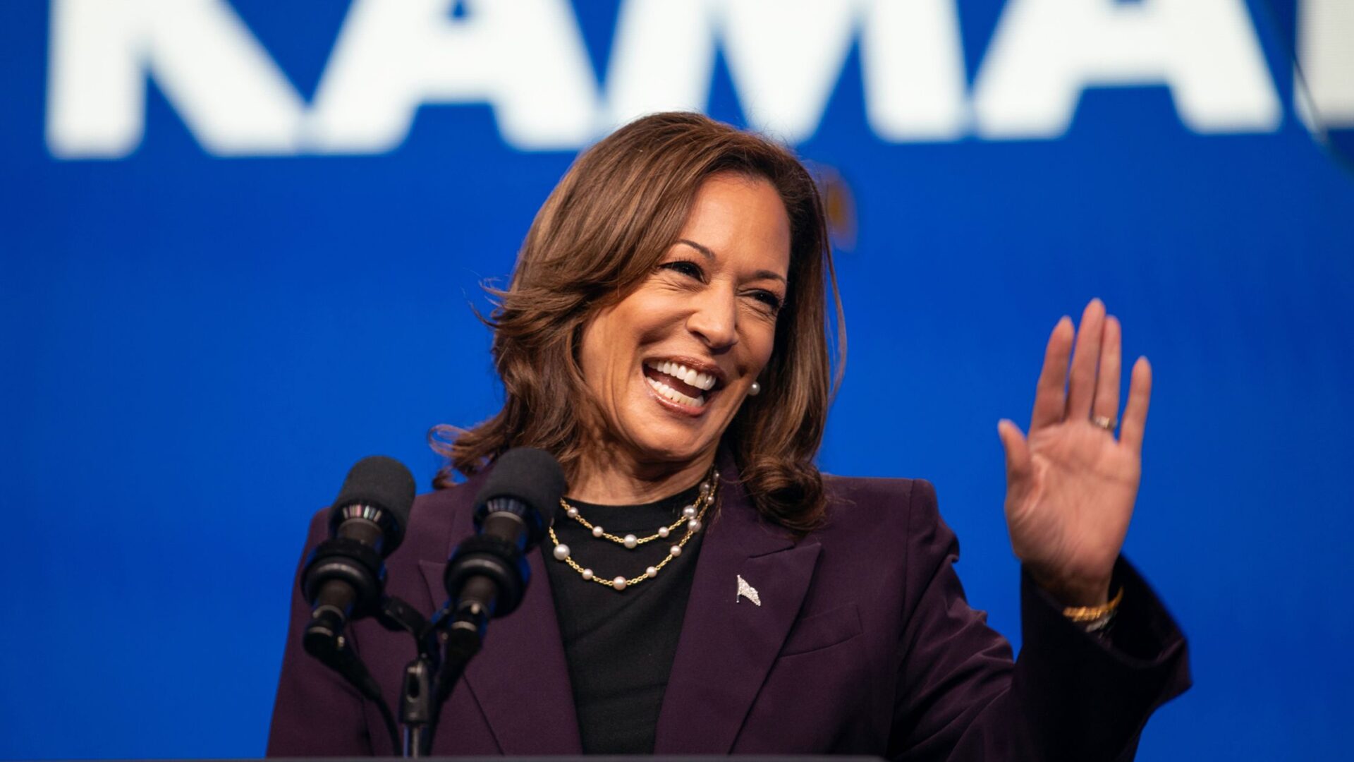 Kamala Harris is an American politician and vice president of the United States under President Joe Biden. California, US - 2 Aug 2024 (Group Pictures/Shutterstock)