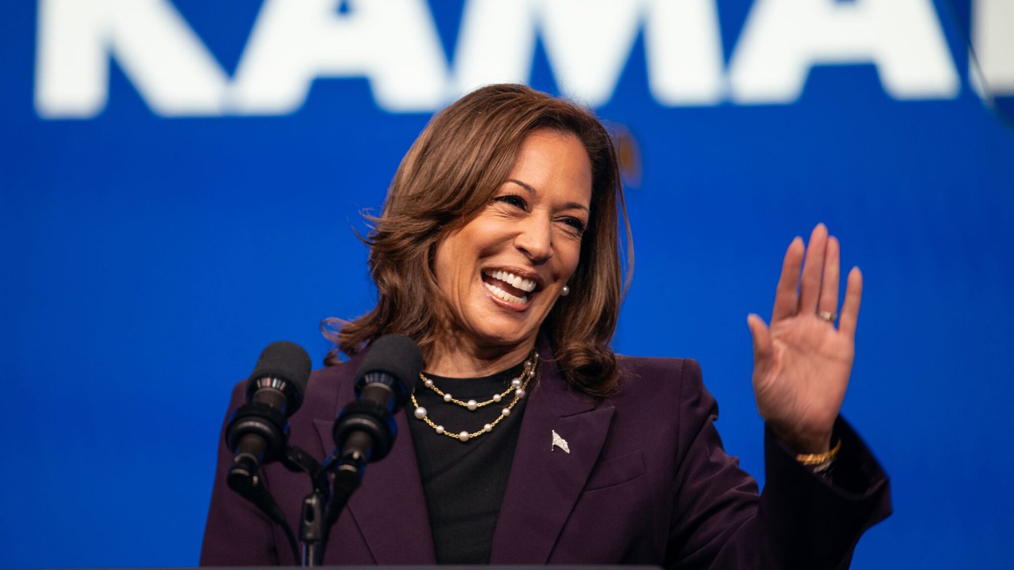 Kamala Harris Takes The Cake In D C s Electoral Votes