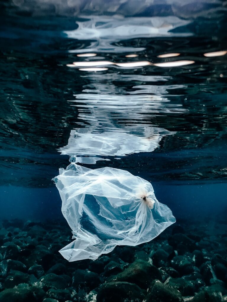 a plastic bag floating on top of a body of water