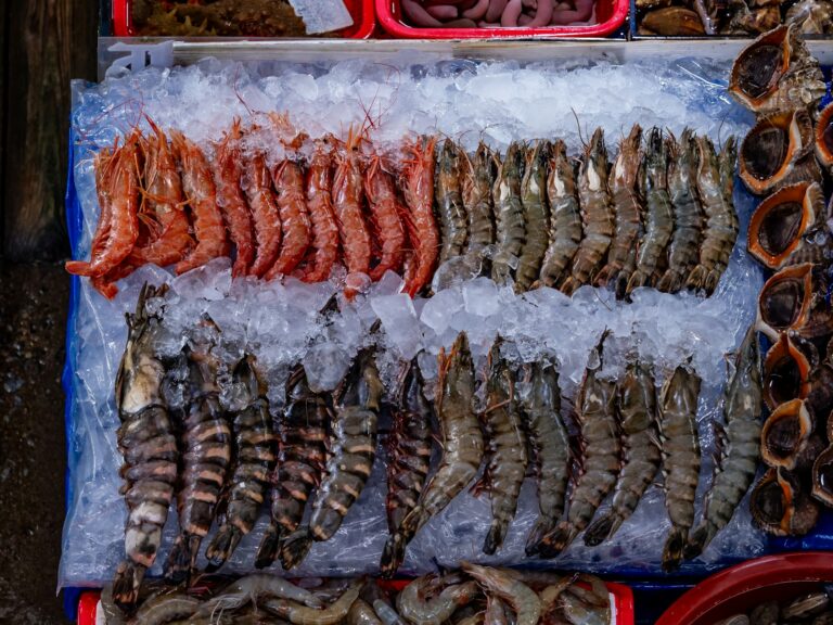 Widespread Worker Exploitation in Global Shrimp Industry