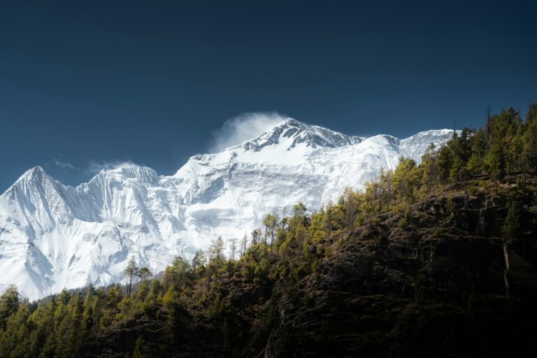Indian Air Force Rescues American and UK Climbers Trapped in Himalayas