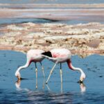 Photo by Thomas Griggs