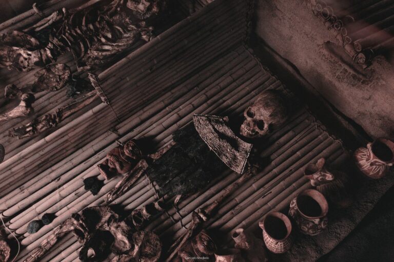 human skeleton decor