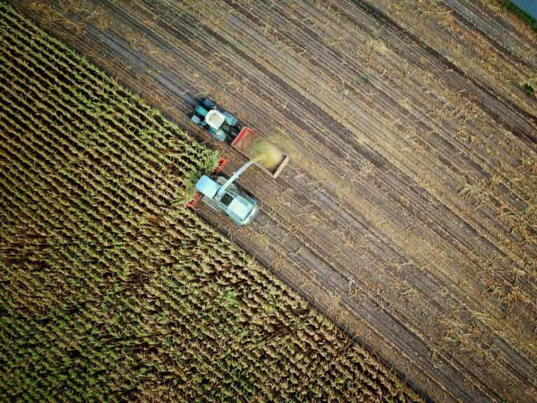 Mexico’s New Agricultural Revival Plan Echoes 1980s Food Distribution Methods