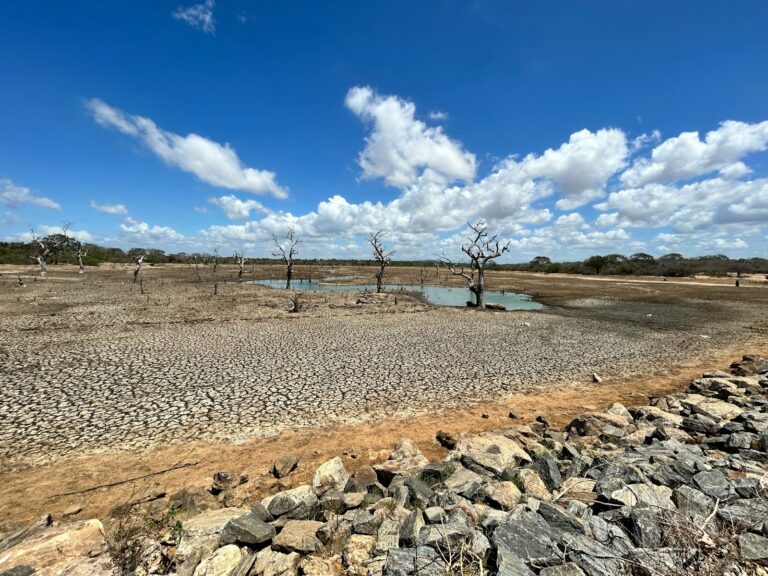 Urgent Global Action Needed to Curb Catastrophic Climate Change, Warns UN Report