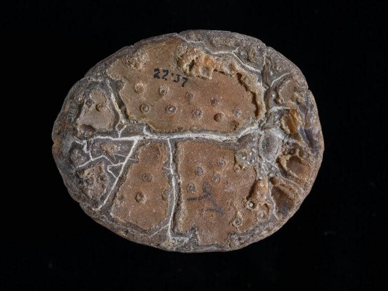 Rethinking the Origins of China’s Rich Yixian Fossil Beds