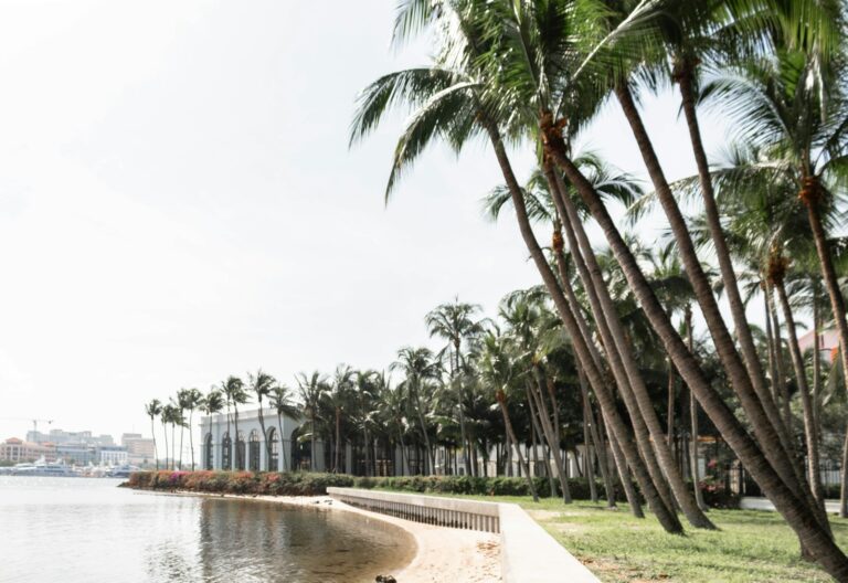 Palm Beach Residents Face Traffic Woes as Trump’s Re-election Ensures More Mar-a-Lago Visits