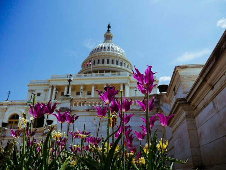 Trump Selects Mike Waltz and Marco Rubio for Top Security Posts