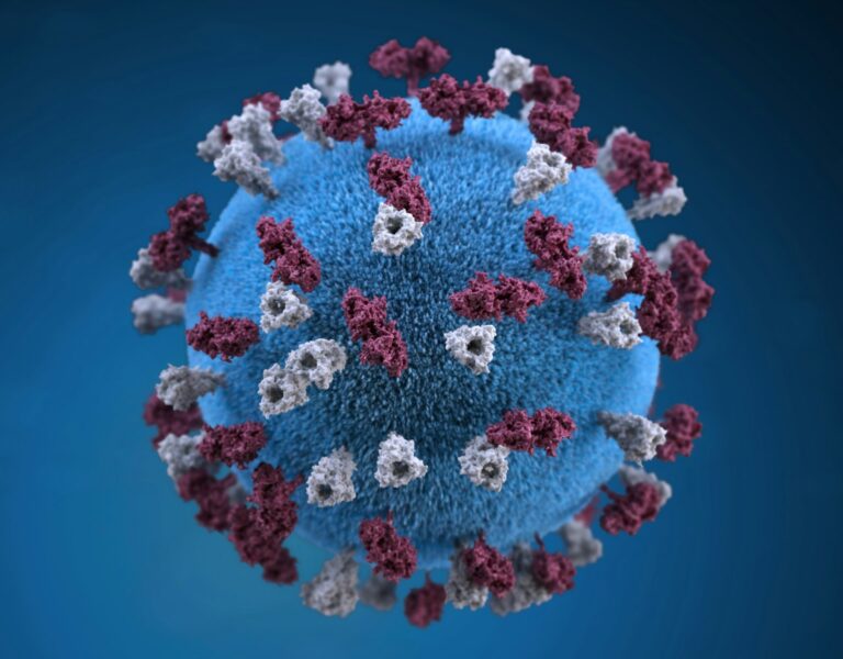 Measles Claims Young Life in Texas: A Preventable Tragedy