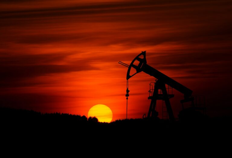 US Could Survive Without Crude Oil and Lumber Imports, Experts Say