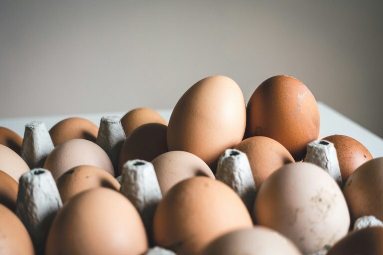 Egg Prices Crack the Economy: A Growing Concern for Americans