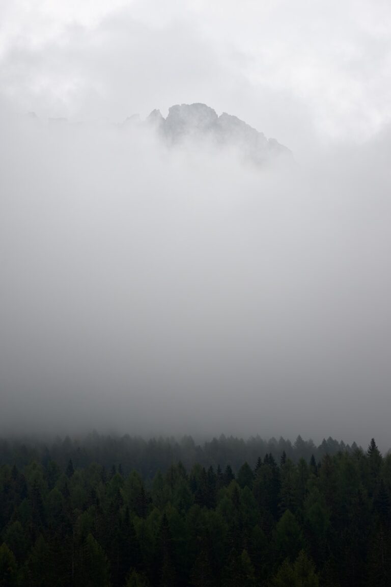 Fog Collection Eases Water Stress in Desert Cities