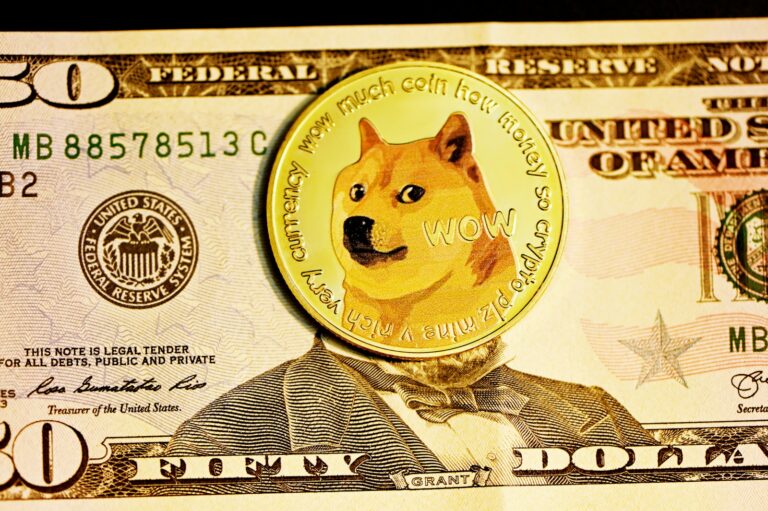 DOGE Refund Checks: Could Americans Get Crypto Cash Back?