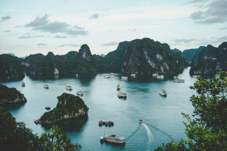 Vietnam’s Decree 147 Sparks Free Speech Debate