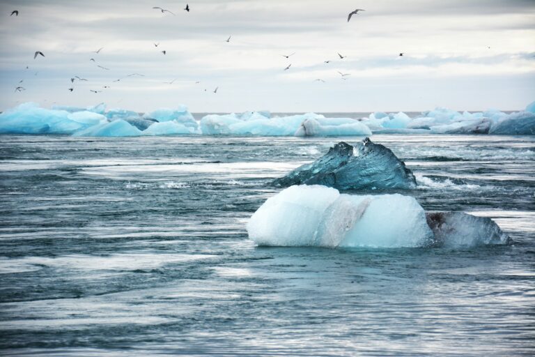 Rich Nations’ Climate Pledges in Jeopardy as Budgets Shrink