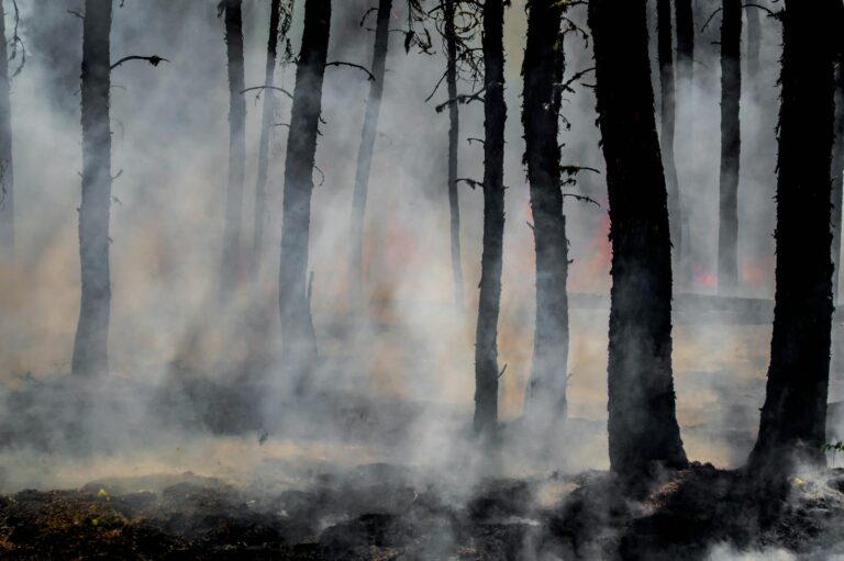 LA Wildfires Cause Up to $53.8 Billion in Damage