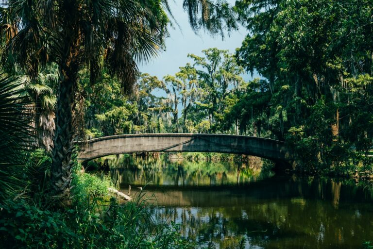 Louisiana Seeks Balance: Environment and Economy Under New Leadership