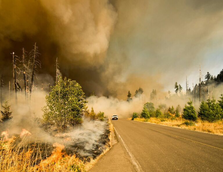 Rapidly Spreading Wildfire Engulfs 12,500 Acres in New Jersey