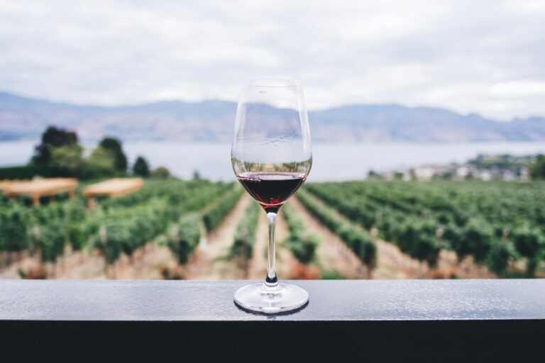 Small Wine Company Beats Trump’s Tariffs in Court