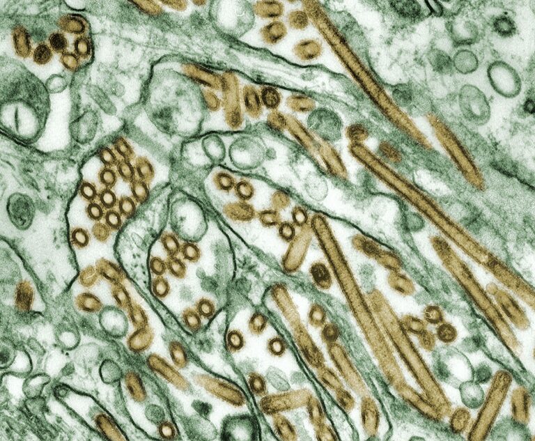 Superbug Eats Hospital Plastic, Raising Infection Risks