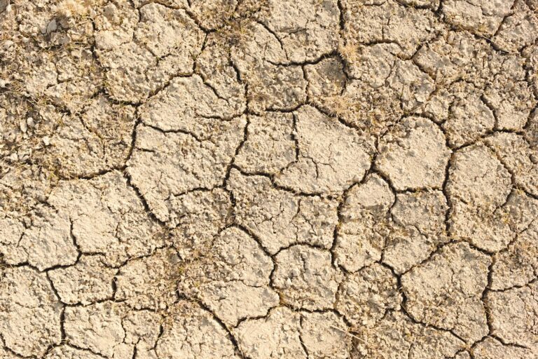 Prepare for Record-Breaking Heat: What You Need to Know