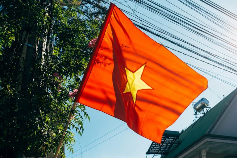 Remitly Casting Vietnamese Actor Needed