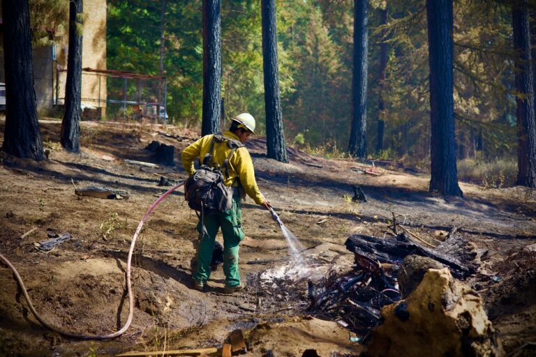 Why Were Firefighters Arrested at Bear Gulch Fire?