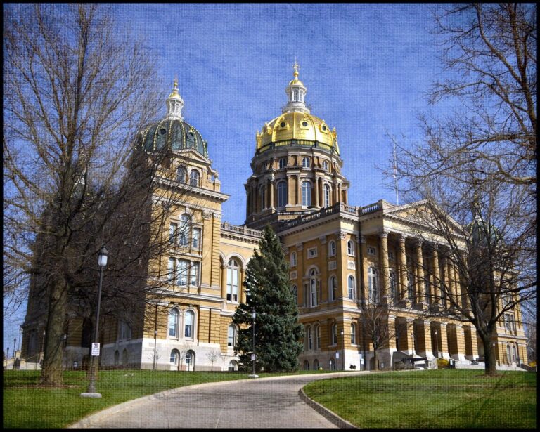 What’s at Stake in the Iowa Elections?