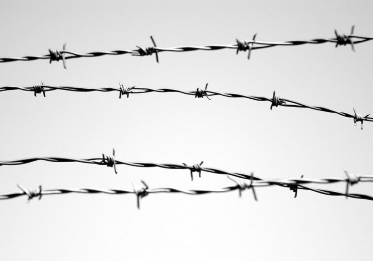 Is ICE Detention Betraying Afghan Heroes?