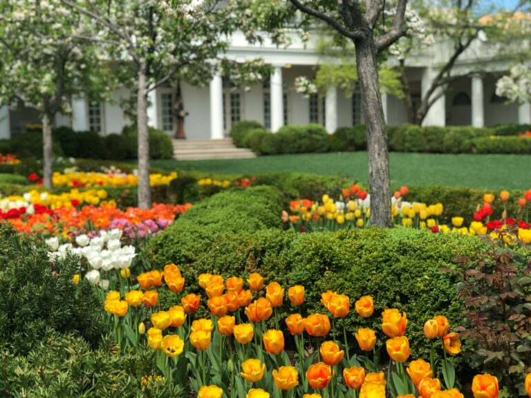Why Did Trump Ban a White House Subcontractor?